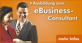 eBusiness - Consultant