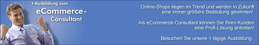 eCommerce-Consultant