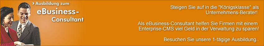 eBusiness-Consultant